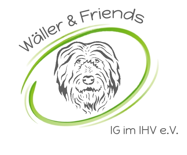 Wäller & Friends IG im IHR e.V. Wäller & Friends IG im IHR e.V.